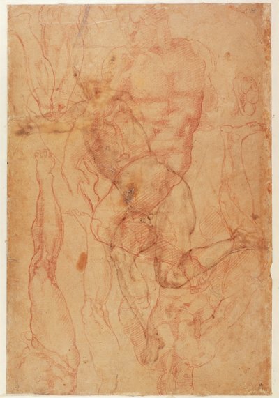 Figurenstudie door Michelangelo Buonarroti